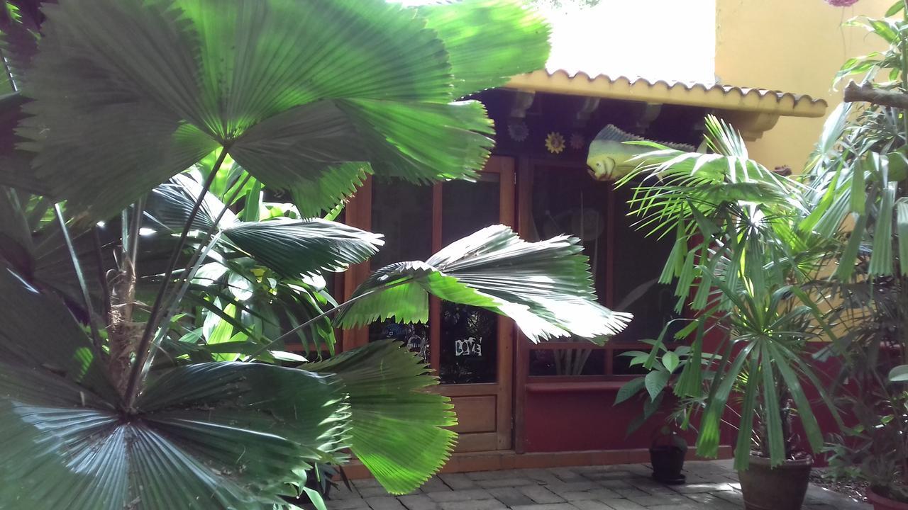 Casa Kin33 Acomodação com café da manhã Cancún Exterior foto